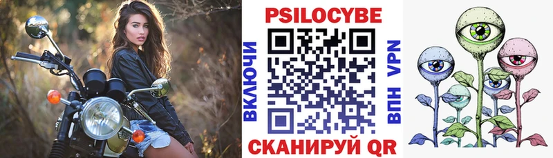 Псилоцибиновые грибы Cubensis  ОМГ ОМГ рабочий сайт  Новомичуринск 